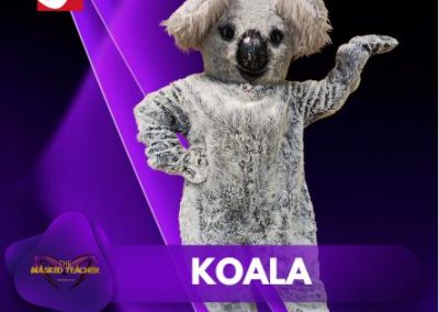 Masked teacher koala